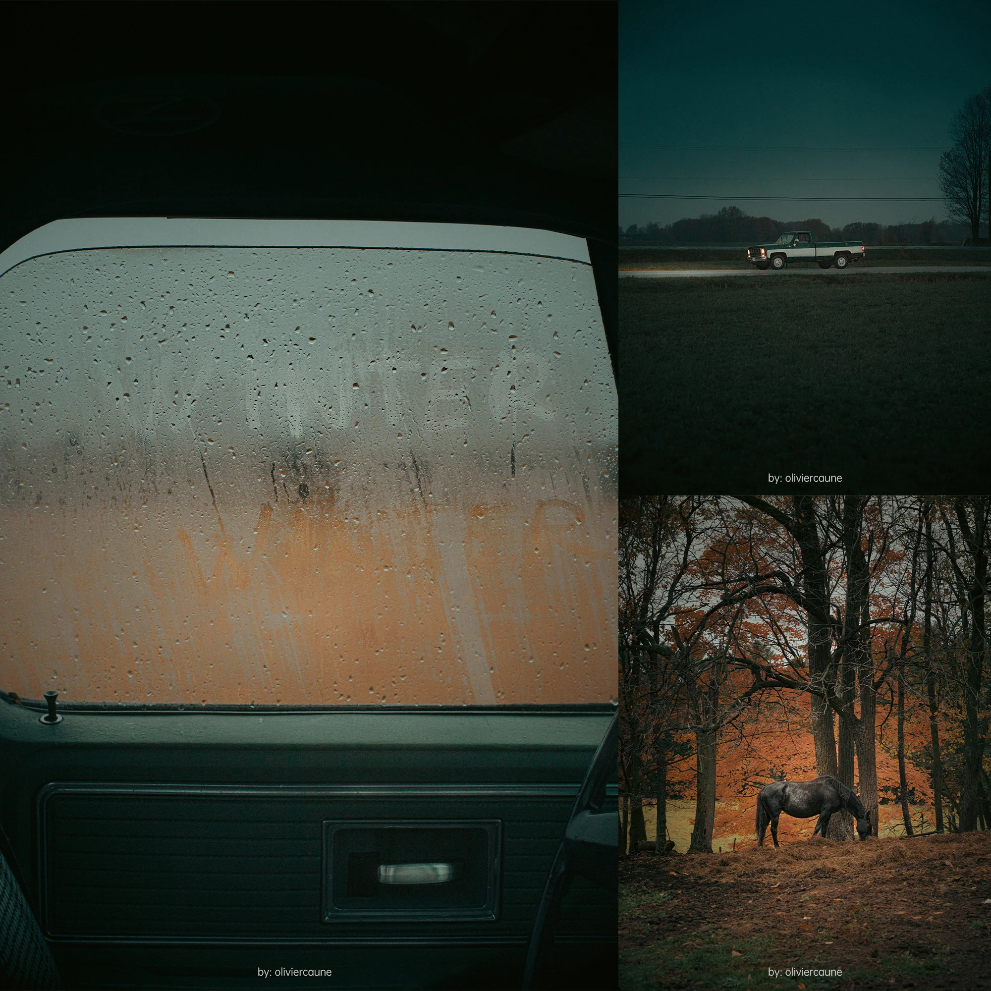 Thumbnail 11